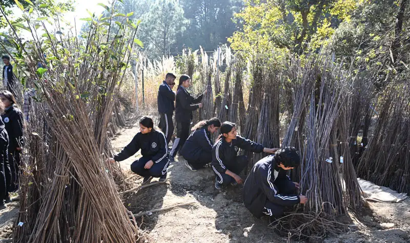 ELP Students assisting in plants sale