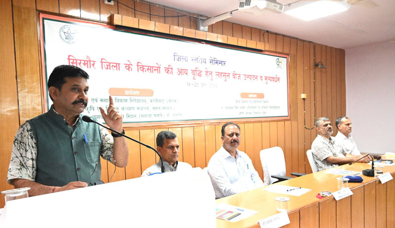 लहसुन उत्पादकों की आय
