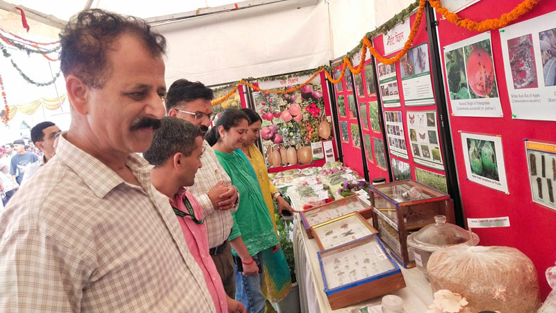राज्यस्तरीय शूलिनी मेले में हर कोई खींचा आ रहा था प्रर्दशनियोंं की ओर