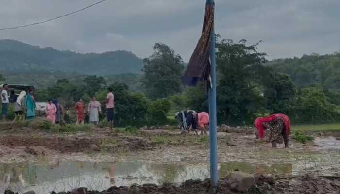 हाई कोर्ट का बड़ा फैसला