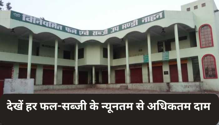 धनिया के भाव ऊंचाई पर