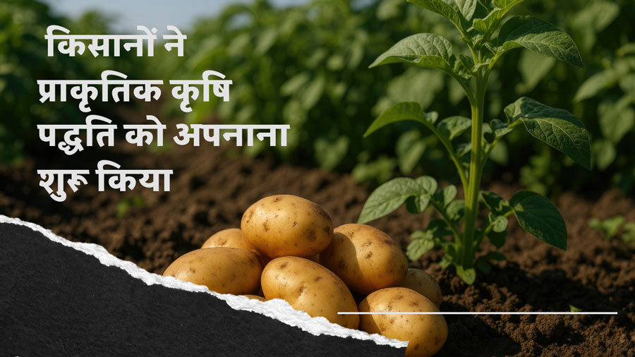 प्राकृतिक खेती