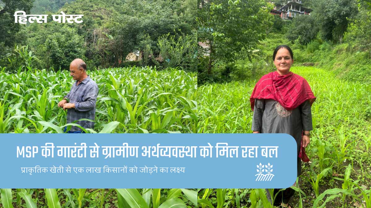 प्राकृतिक खेती