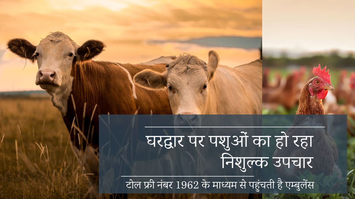 मोबाइल पशु चिकित्सा