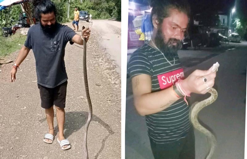 जहरीले सांपों को बेखौफ पकड़