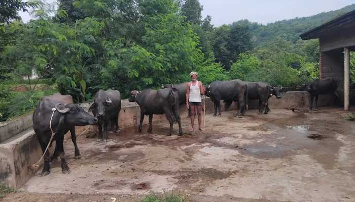 मारकंडा ऋषि की कृपा