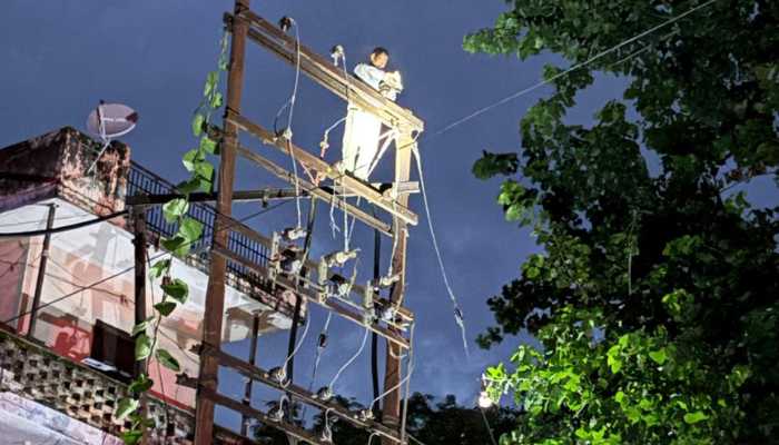 बंदरों से बिजली फॉल्ट