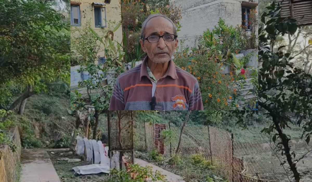 ग्रीन हीरो