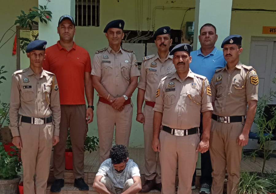 Himachal Hindi News,हिंदी न्यूज,Hindi Samachar,Hindi News